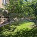 Casa / vila de inchiriat, comuna Berceni, 350 mp utili, curte 400 mp